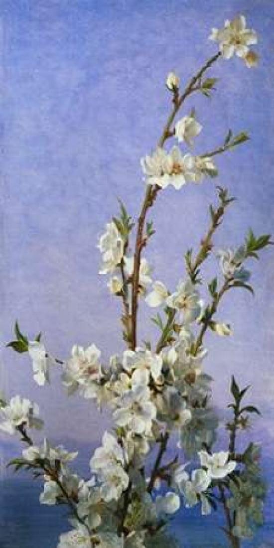 Posterazzi Blossom II Canvas Art - Sophie Anderson (24 x 48)