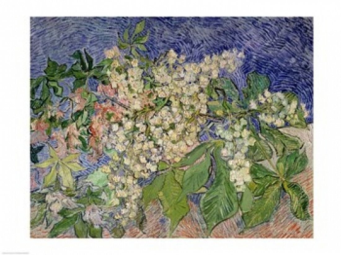 Posterazzi Blossoming Chestnut Branches 1890 Canvas Art - Vincent Van Gogh (36 x 24)