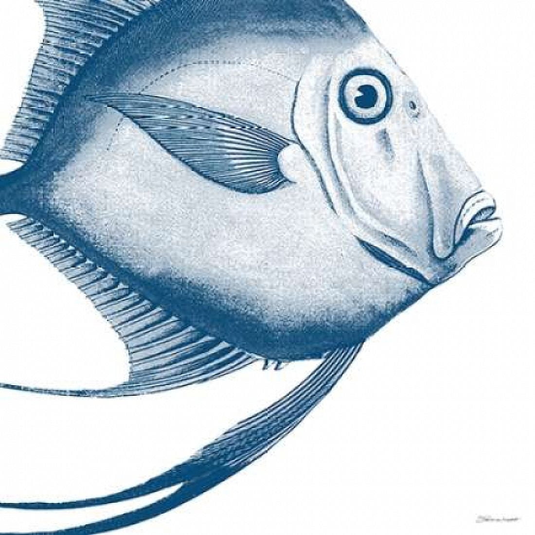 Posterazzi Blue Fish Canvas Art - Stephanie Marrott (24 x 24)