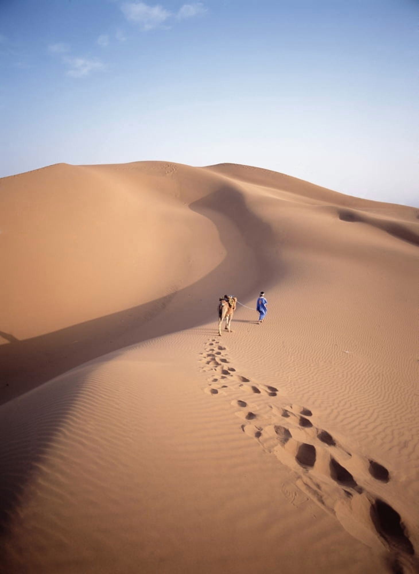 Posterazzi Blue Man Historically A Tribe Of Sahara Traders Leading Camel Through The Dunes At Dawn Canvas Art - Ian Cumming Design Pics (24 x 32)