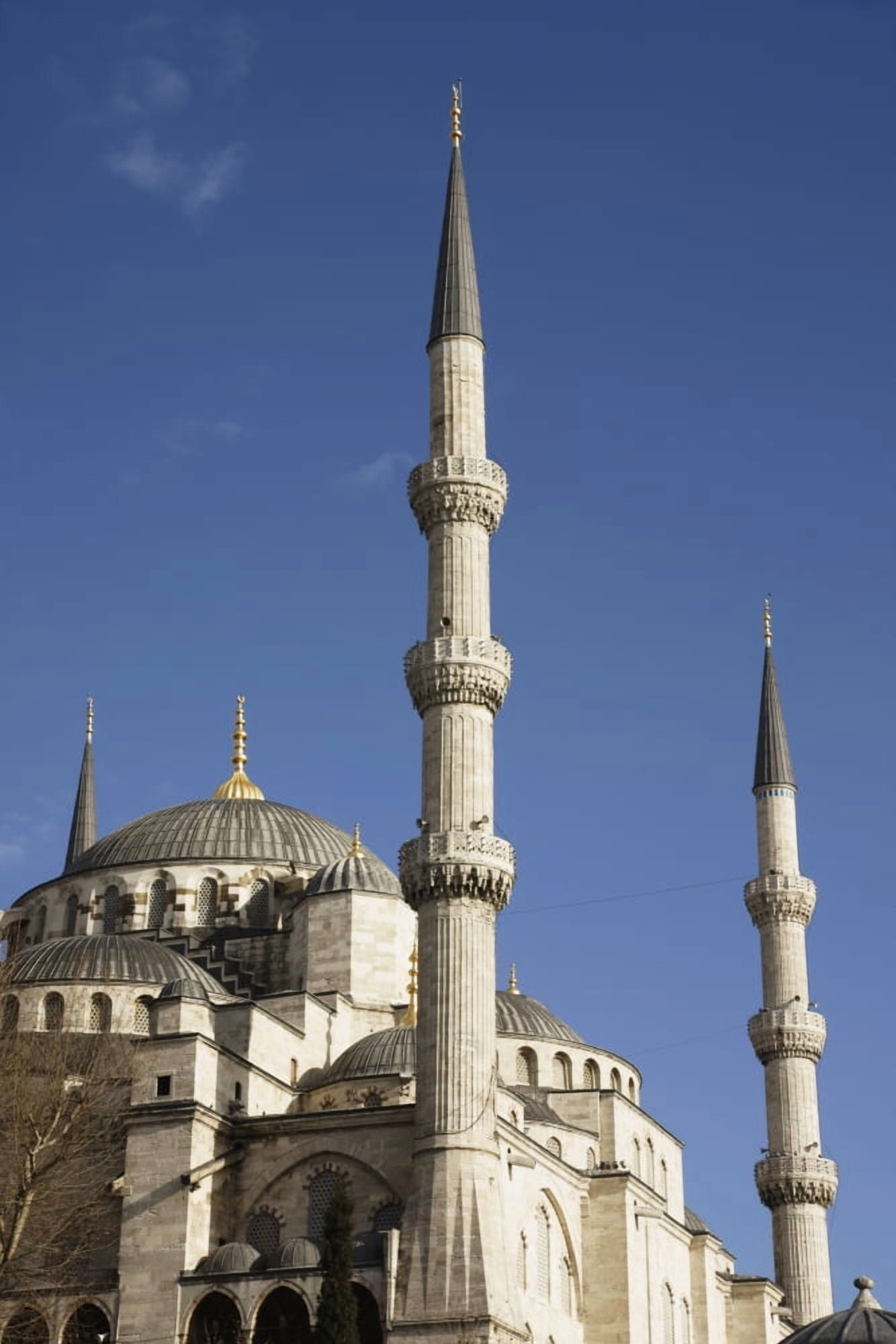 Posterazzi Blue Mosque Or Sultan Ahmet Camii Canvas Art - Marc Jackson  Design Pics (24 x 38)