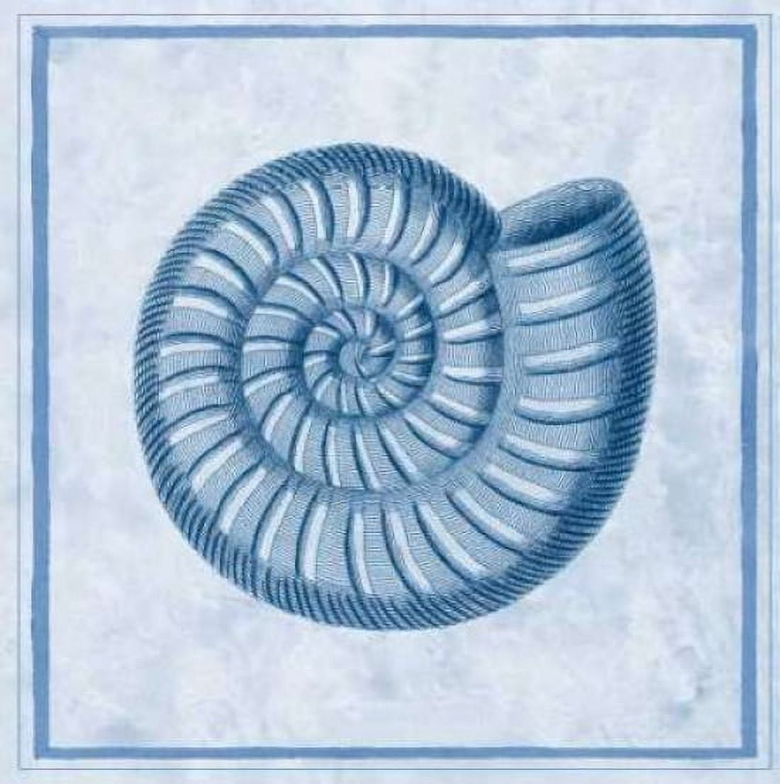 Posterazzi Blue Nautilus A Canvas Art - Sarah E Chilton (24 x 24)