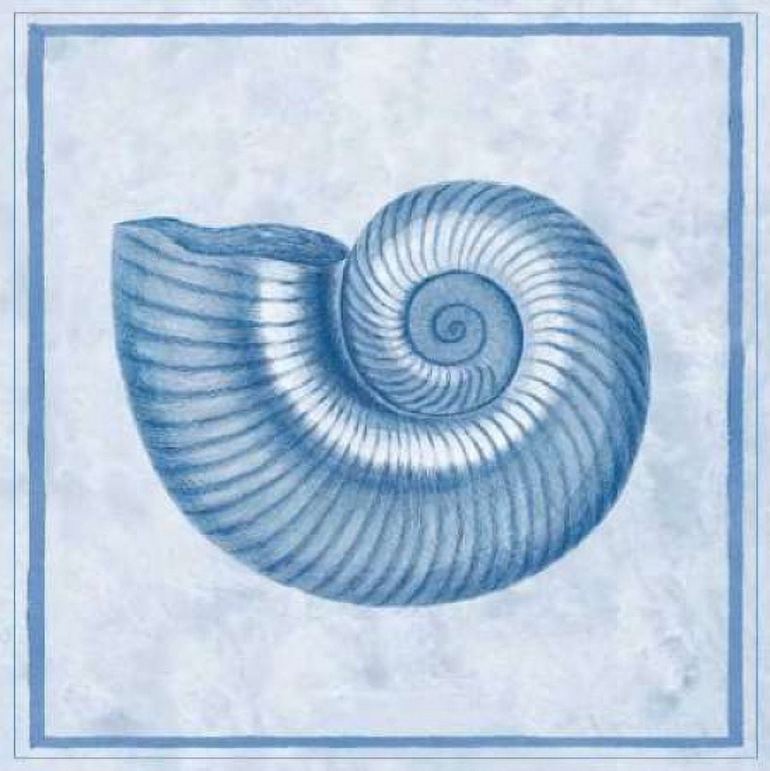 Posterazzi Blue Nautilus D Canvas Art - Sarah E Chilton (24 x 24)