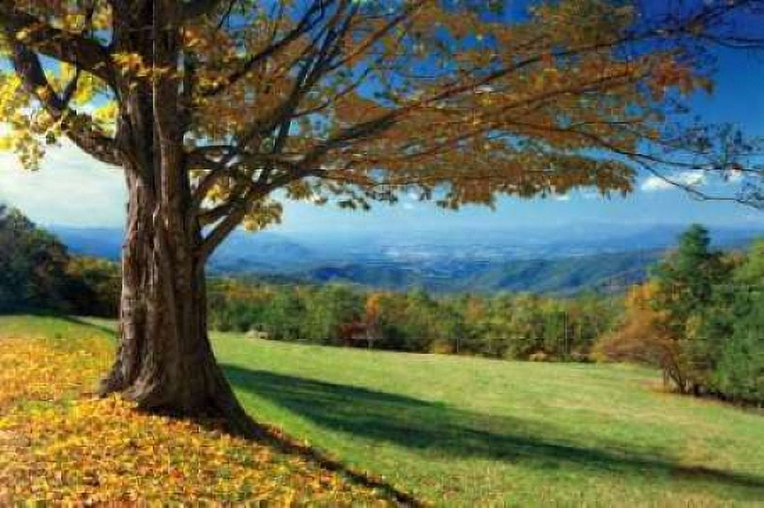 Posterazzi Blue Ridge Beauty Canvas Art - Mike Jones (24 x 36)