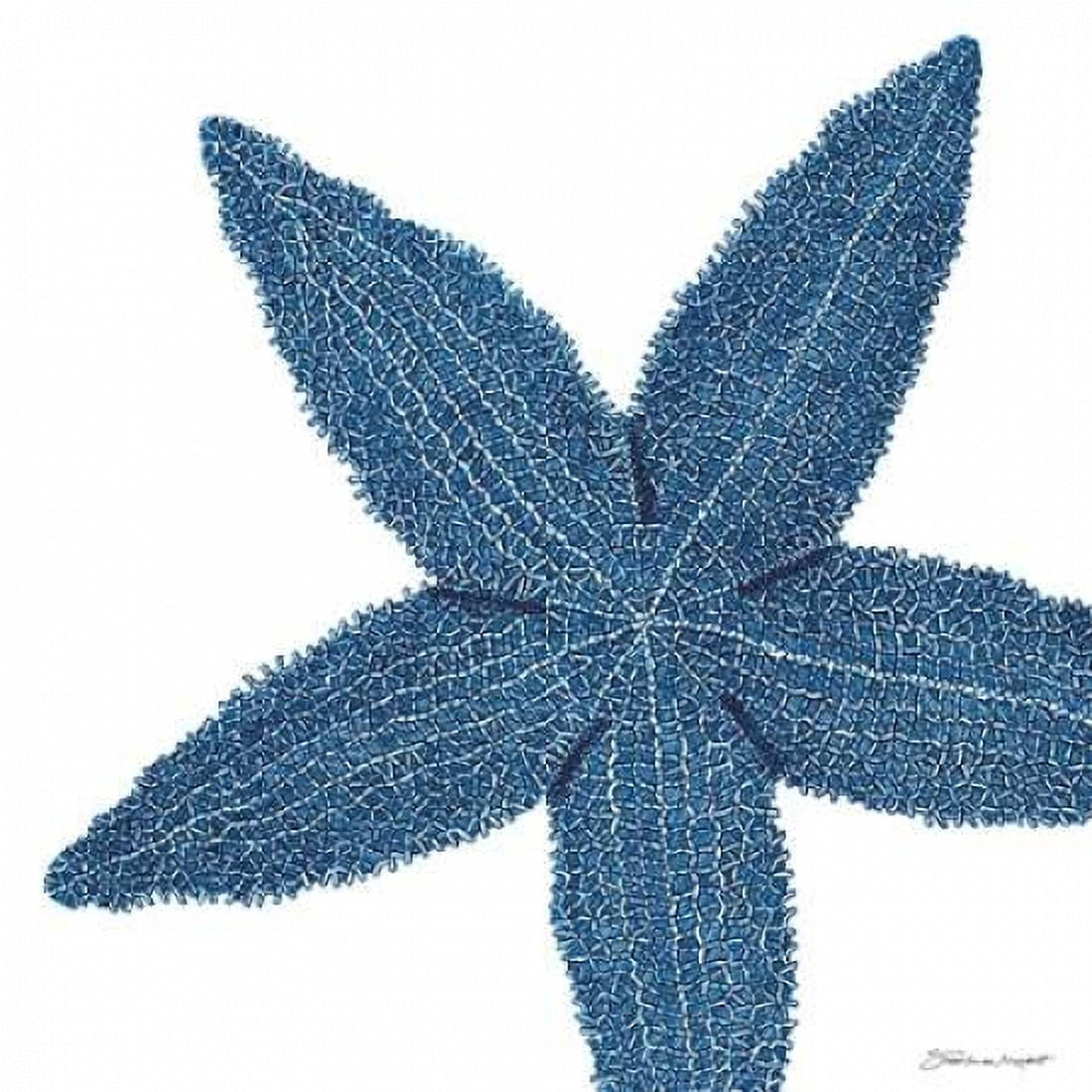 Posterazzi Blue Starfish Canvas Art - Stephanie Marrott (24 x 24)