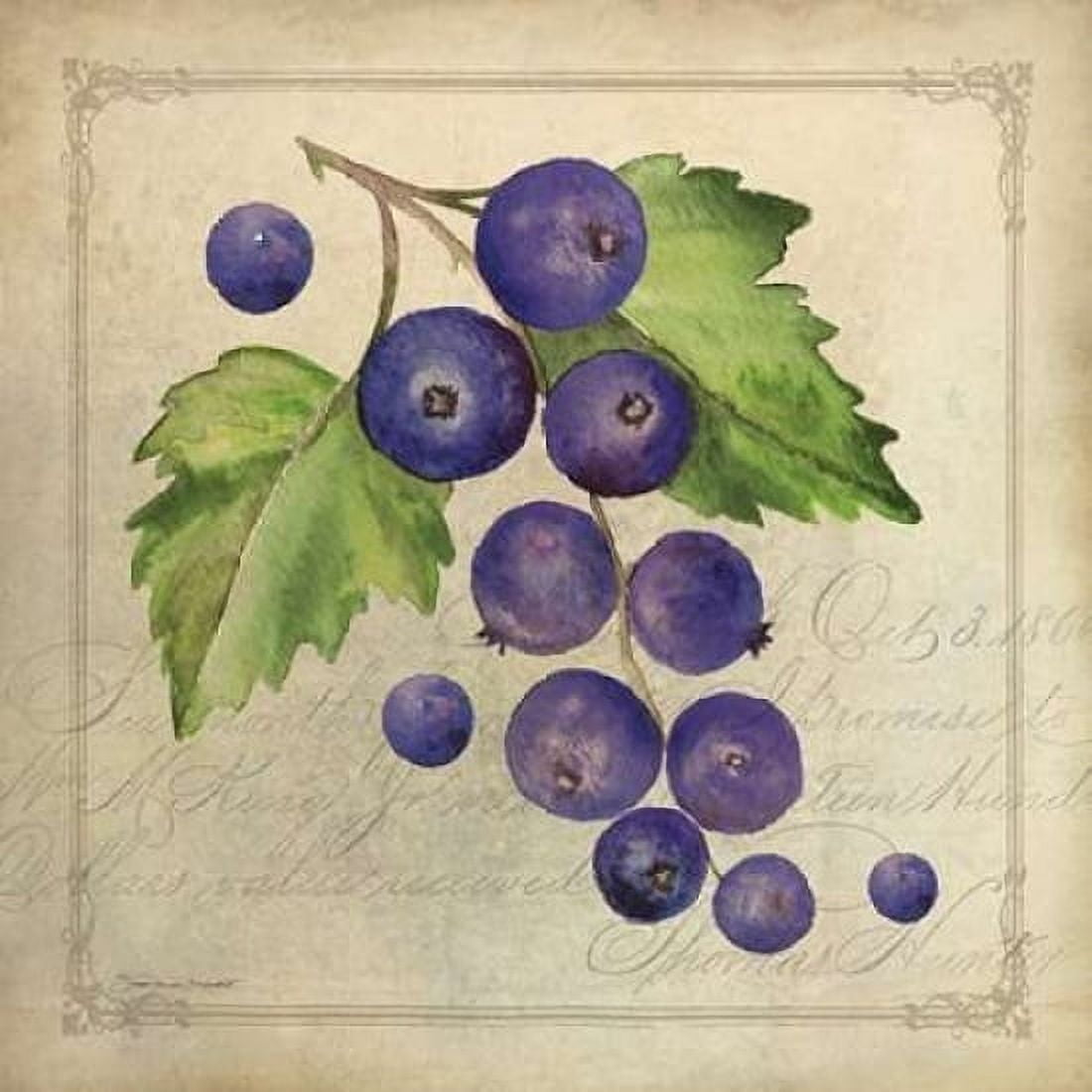 Posterazzi Blueberry Collage Canvas Art - Stephanie Marrott (24 x 24)