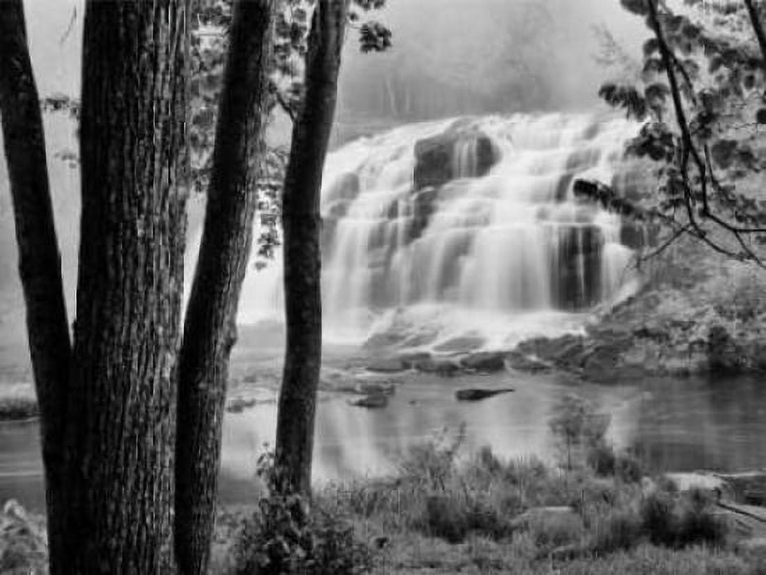 Posterazzi Bond Falls and Trees Canvas Art - Monte Nagler (18 x 24)