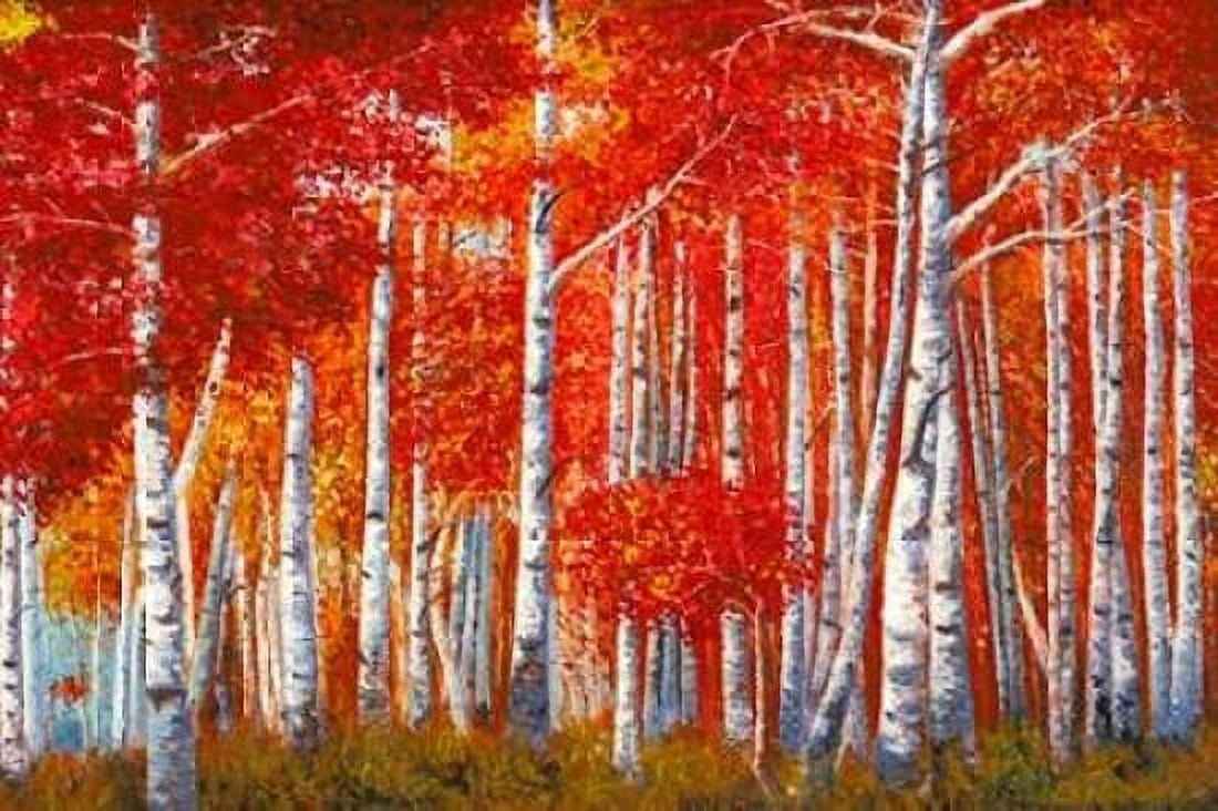 Posterazzi Bosco di betulle Canvas Art - Angelo Masera (20 x 28)