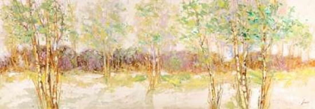 Posterazzi Bosco di betulle I Canvas Art - Lucas (24 x 48)