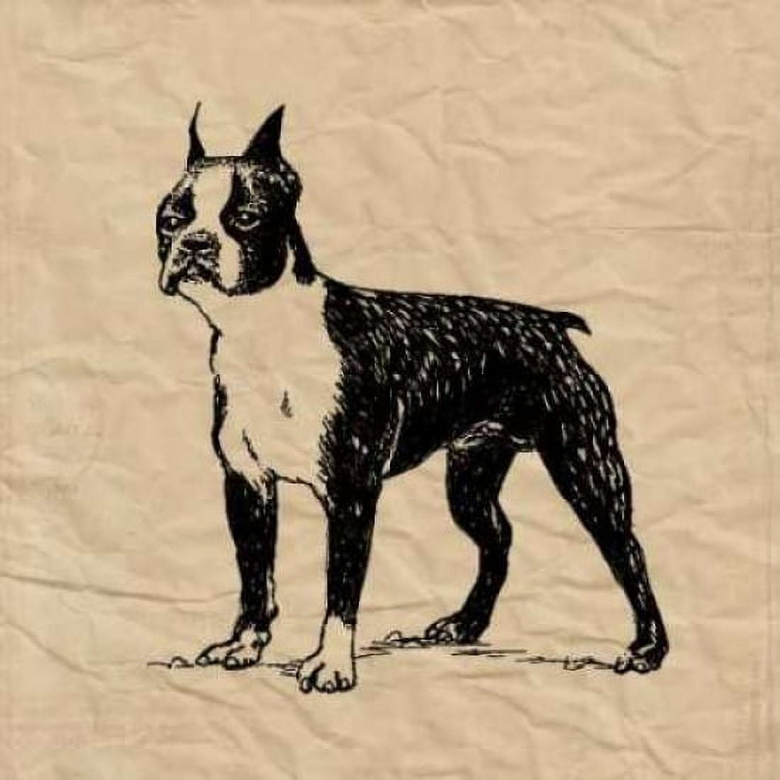 Posterazzi Boston Terrier Canvas Art - Sabine Berg (24 x 24)