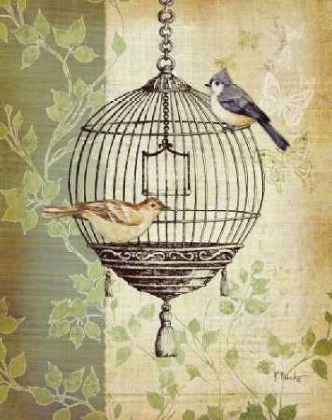 Posterazzi Botanical Birdcage I Canvas Art - Paul Brent (24 x 30)