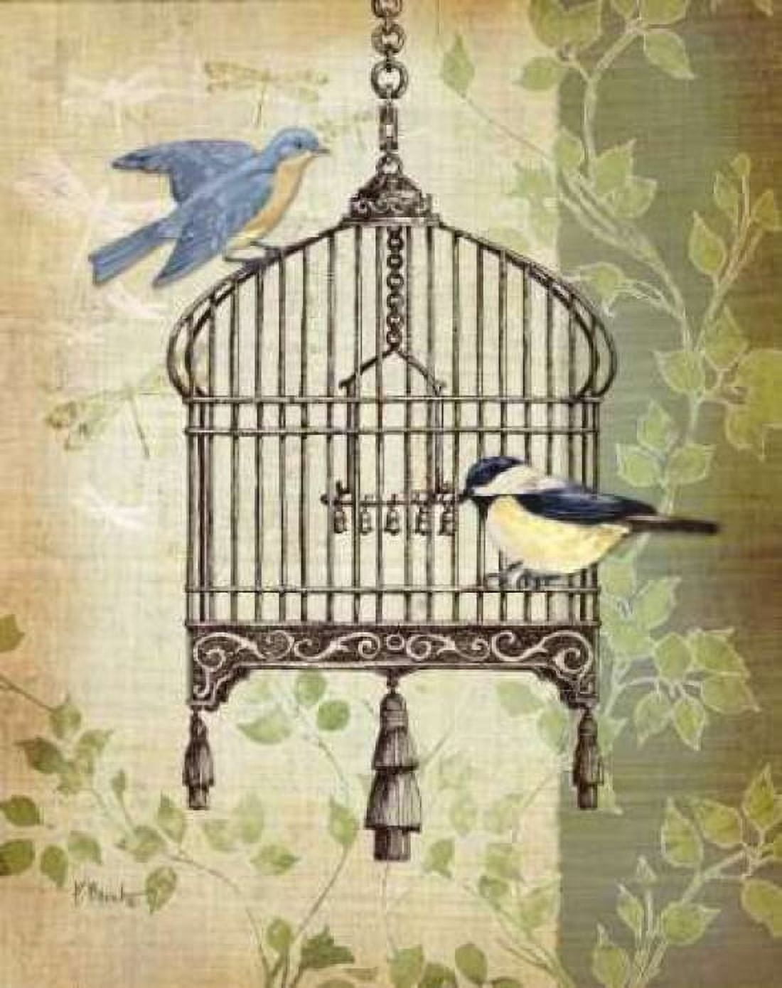 Posterazzi Botanical Birdcage II Canvas Art - Paul Brent (24 x 30)