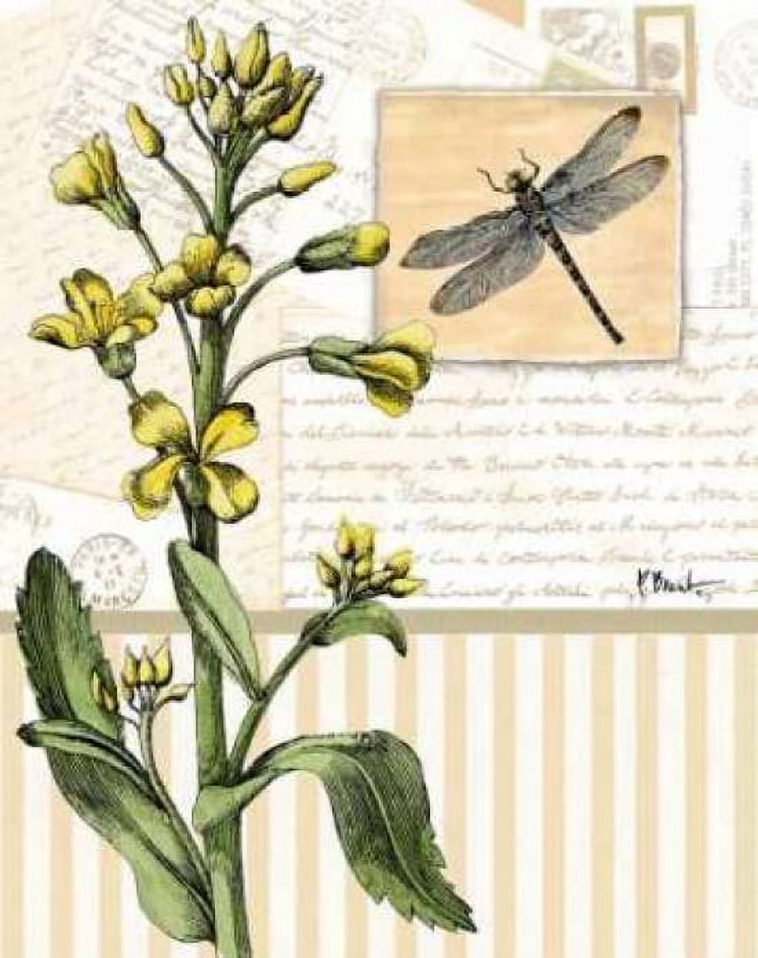 Posterazzi Botanical Collage II Canvas Art - Paul Brent (22 x 28)
