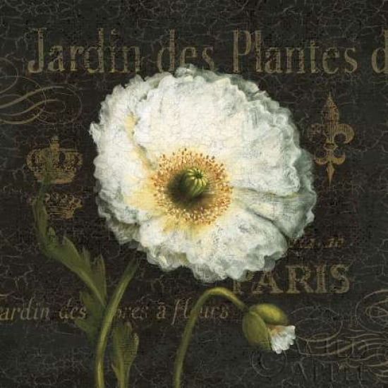 Posterazzi Botanical Garden I Canvas Art - Daphne Brissonnet (24 x 24)