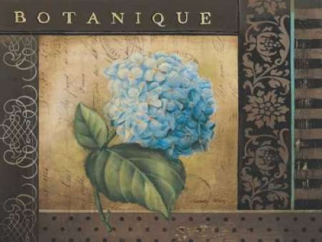 Posterazzi Botanique I Canvas Art - Kimberly Poloson (18 x 24)