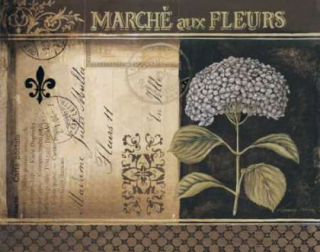 Posterazzi Botanique II Canvas Art - Kimberly Poloson (20 x 24)