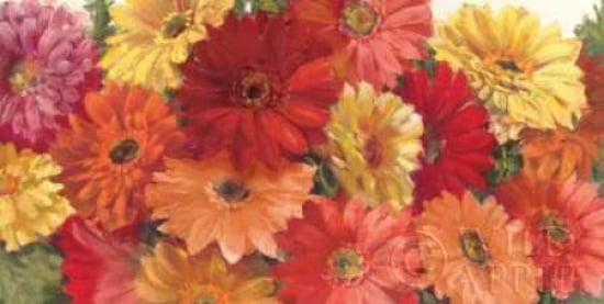 Posterazzi Bountiful Gerberas Crop Canvas Art - Carol Rowan (24 x 48)