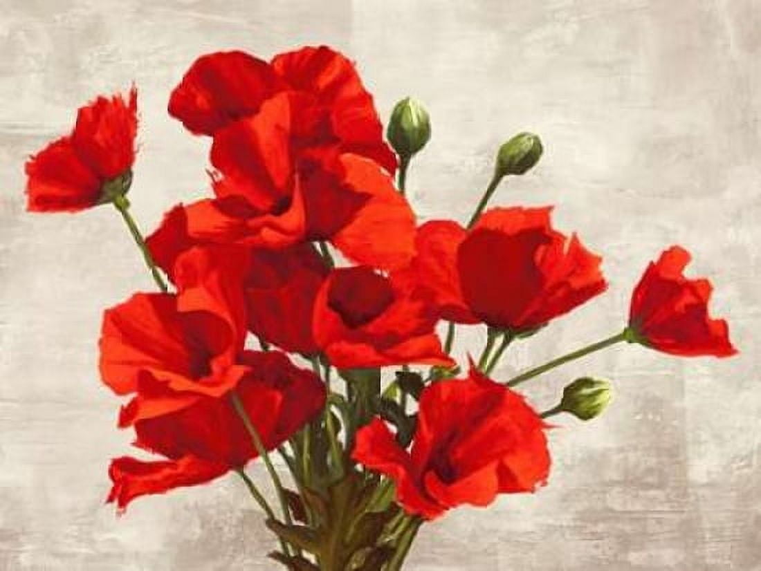 Posterazzi Bouquet of Poppies Canvas Art - Jenny Thomlinson (22 x 28)