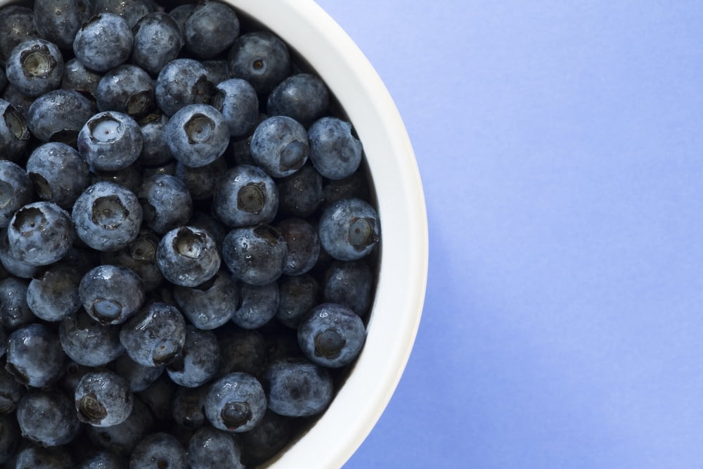 Posterazzi Bowl Of Blueberries Canvas Art - Steven Raniszewski Design Pics (34 x 22)