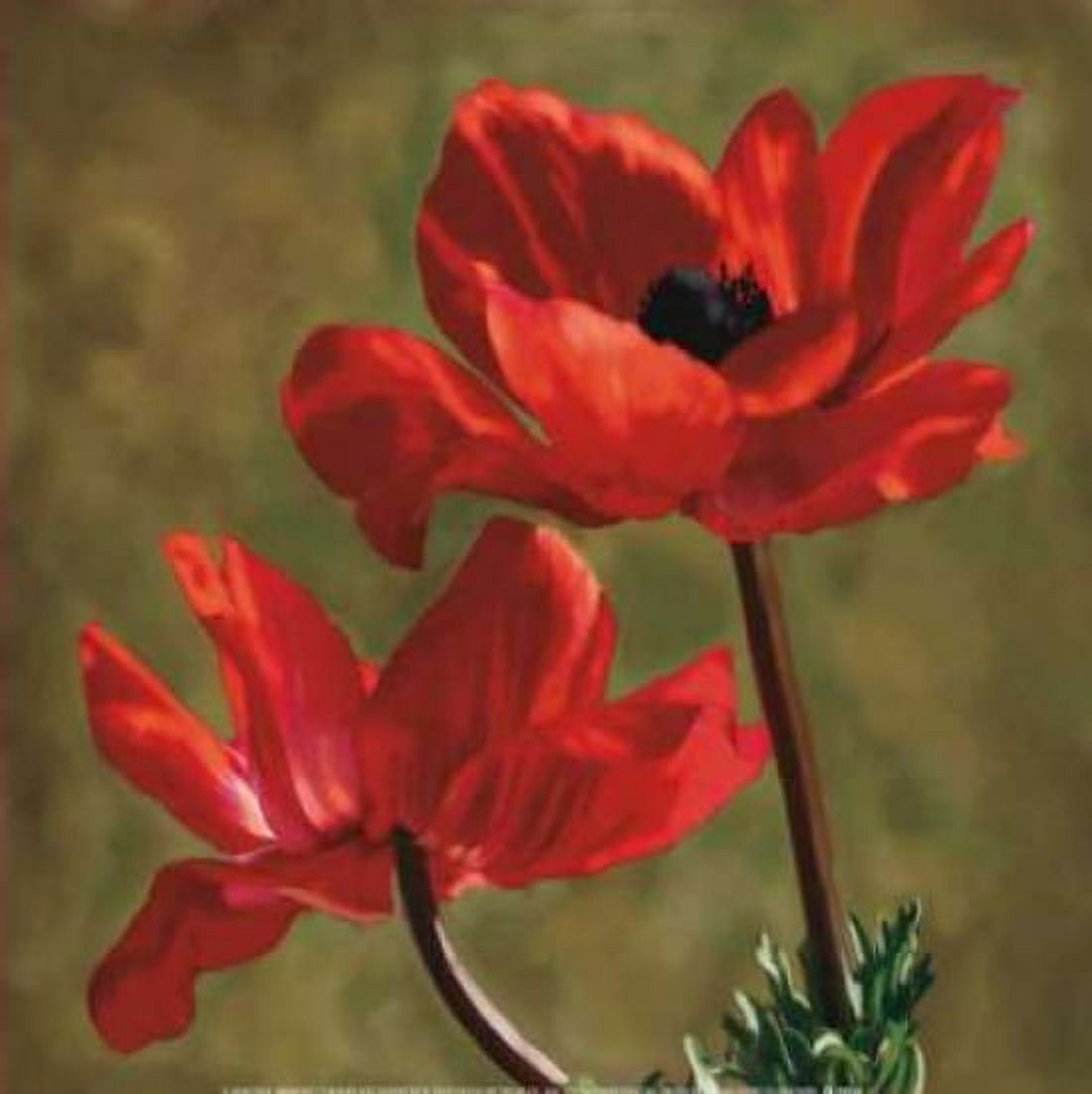 Posterazzi Brilliance I Canvas Art - Janel Pahl (24 x 24)