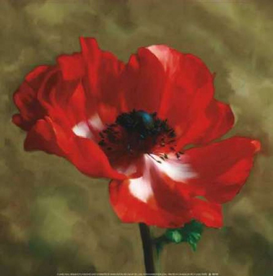 Posterazzi Brilliance II Canvas Art - Janel Pahl (24 x 24)