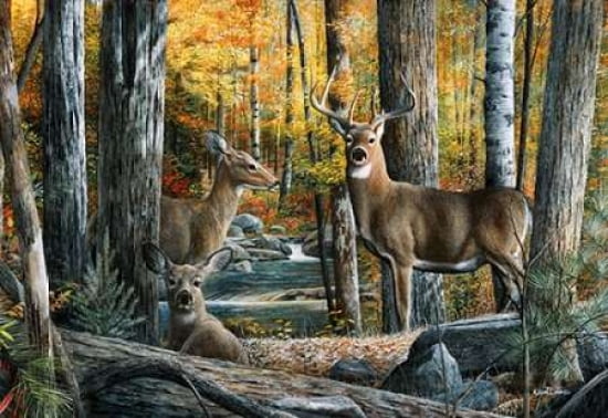Posterazzi Broken Silence I Canvas Art - Kevin Daniel (20 x 28)
