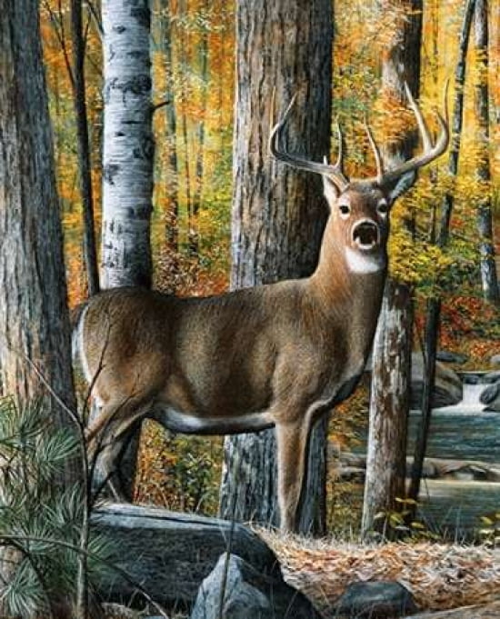 Posterazzi Broken Silence II Canvas Art - Kevin Daniel (20 x 24)