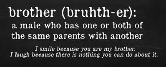 Posterazzi Brother Definition Canvas Art - Anna Quach (24 x 48)