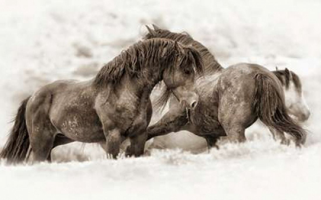Posterazzi Brothers Canvas Art - Lisa Dearing (24 x 36)