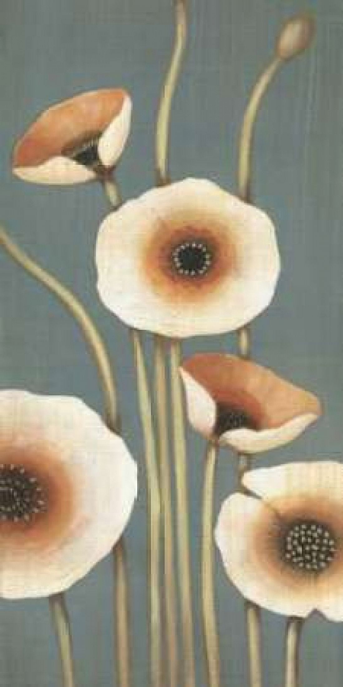 Posterazzi Buttercup II Canvas Art - MAJA (24 x 48)