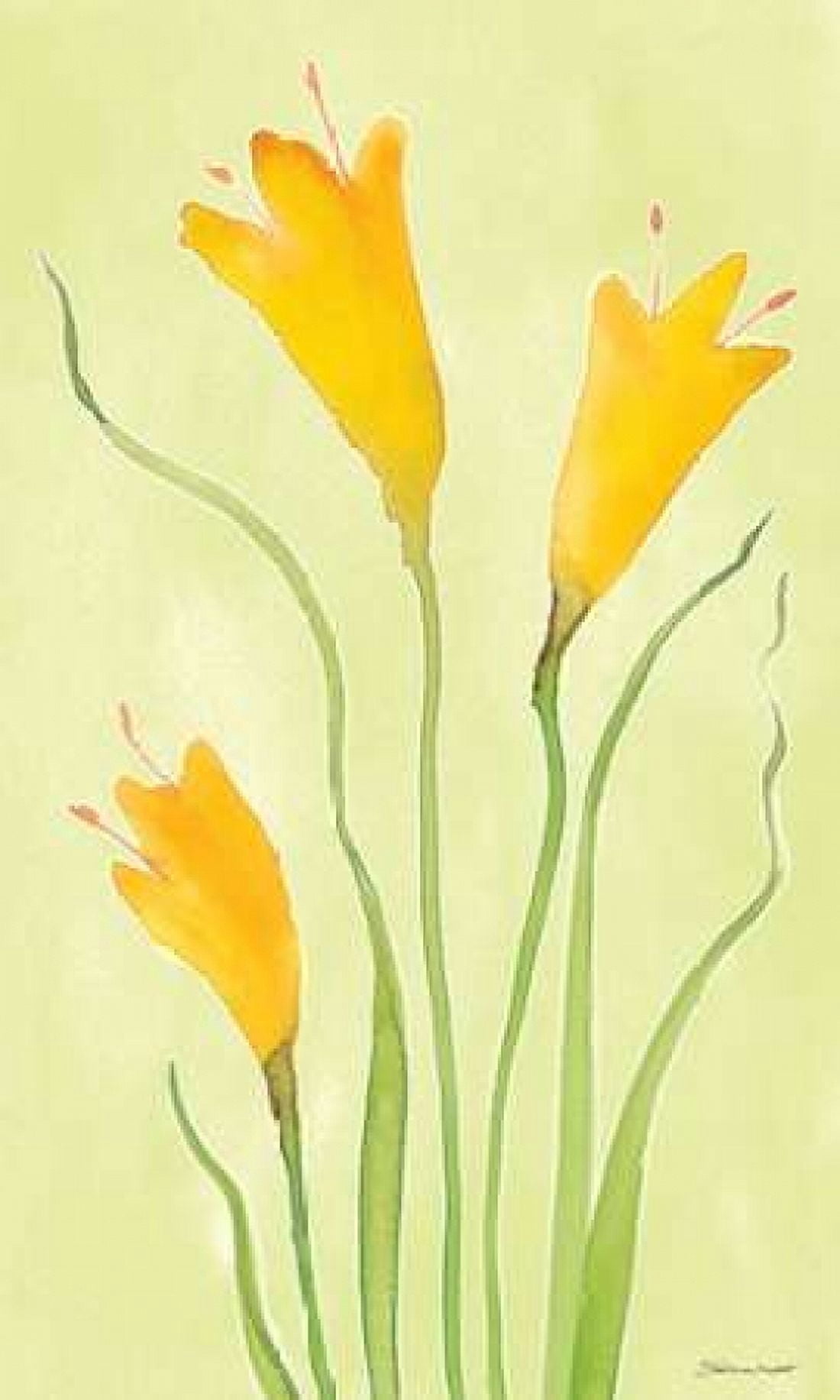 Posterazzi Buttercups Canvas Art - Stephanie Marrott (12 x 18)