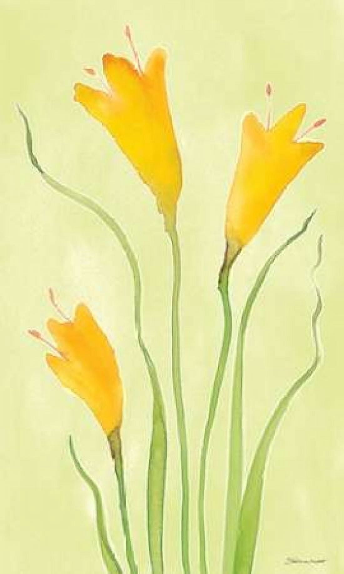 Posterazzi Buttercups Canvas Art - Stephanie Marrott (24 x 36)