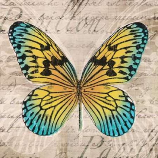 Posterazzi Butterflies I Canvas Art - Tandi Venter (24 x 24)