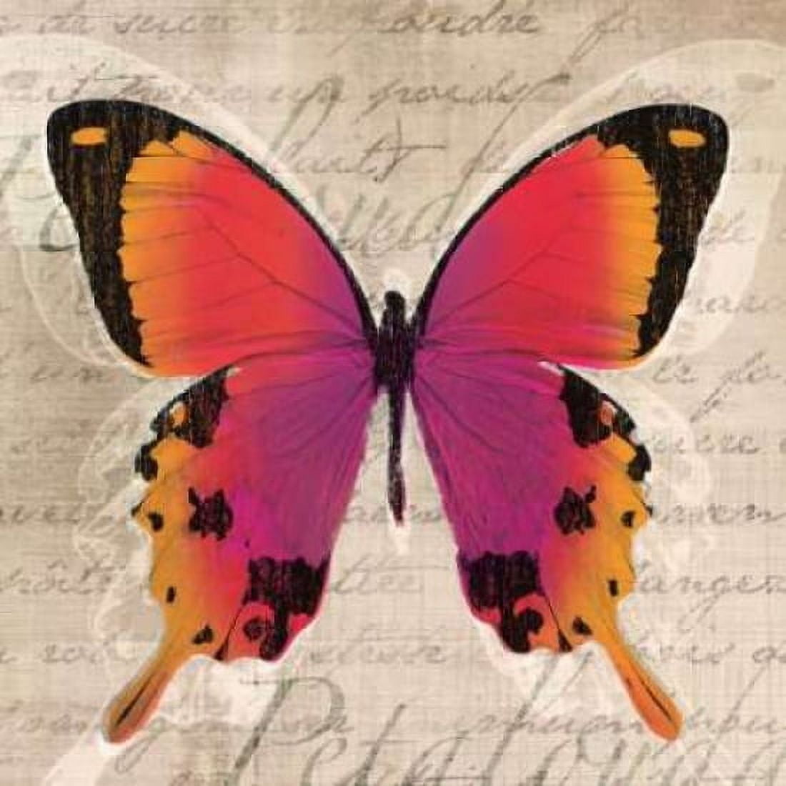 Posterazzi Butterflies III Canvas Art - Tandi Venter (24 x 24)