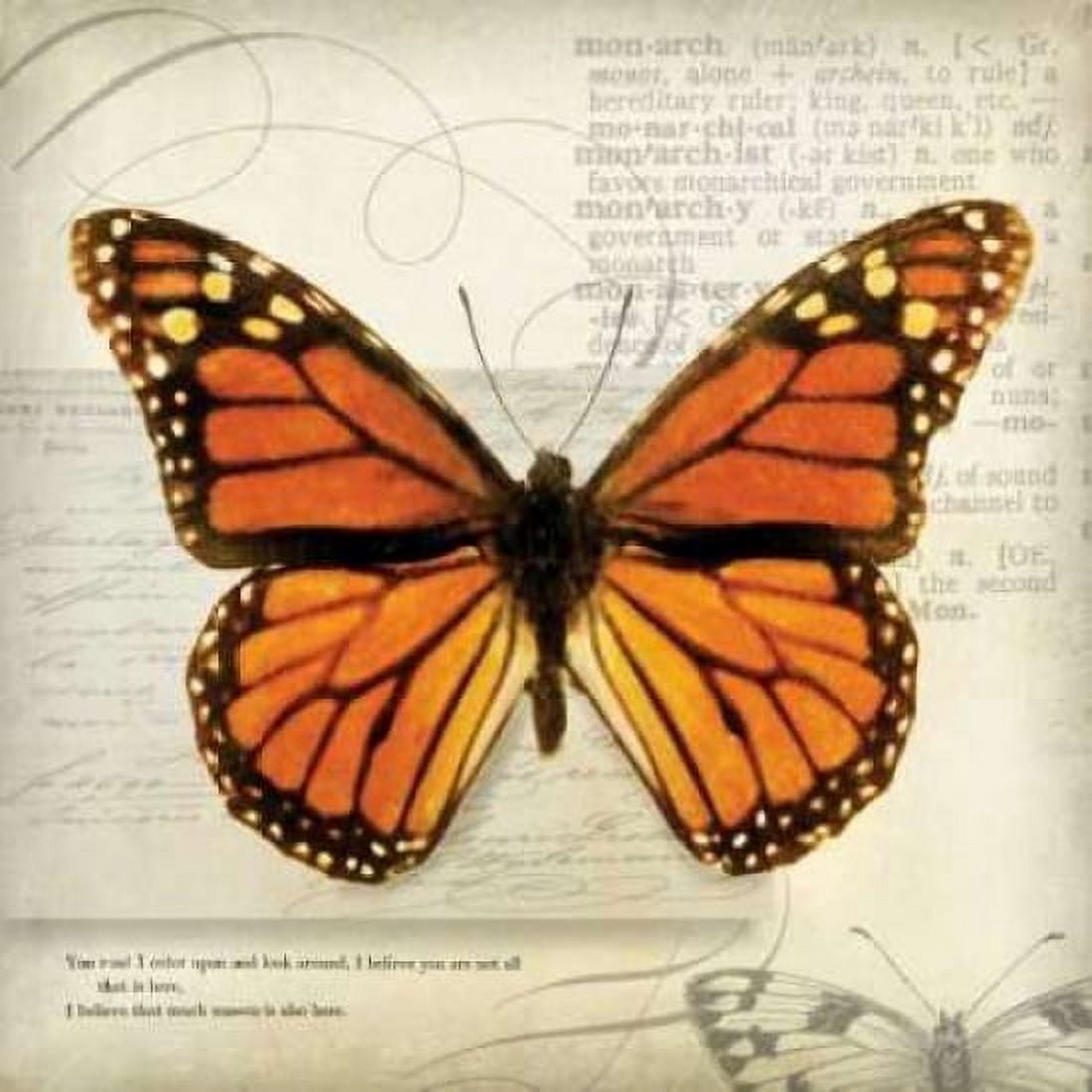 Posterazzi Butterflies Script II Canvas Art - Amy Melious (24 x 24)