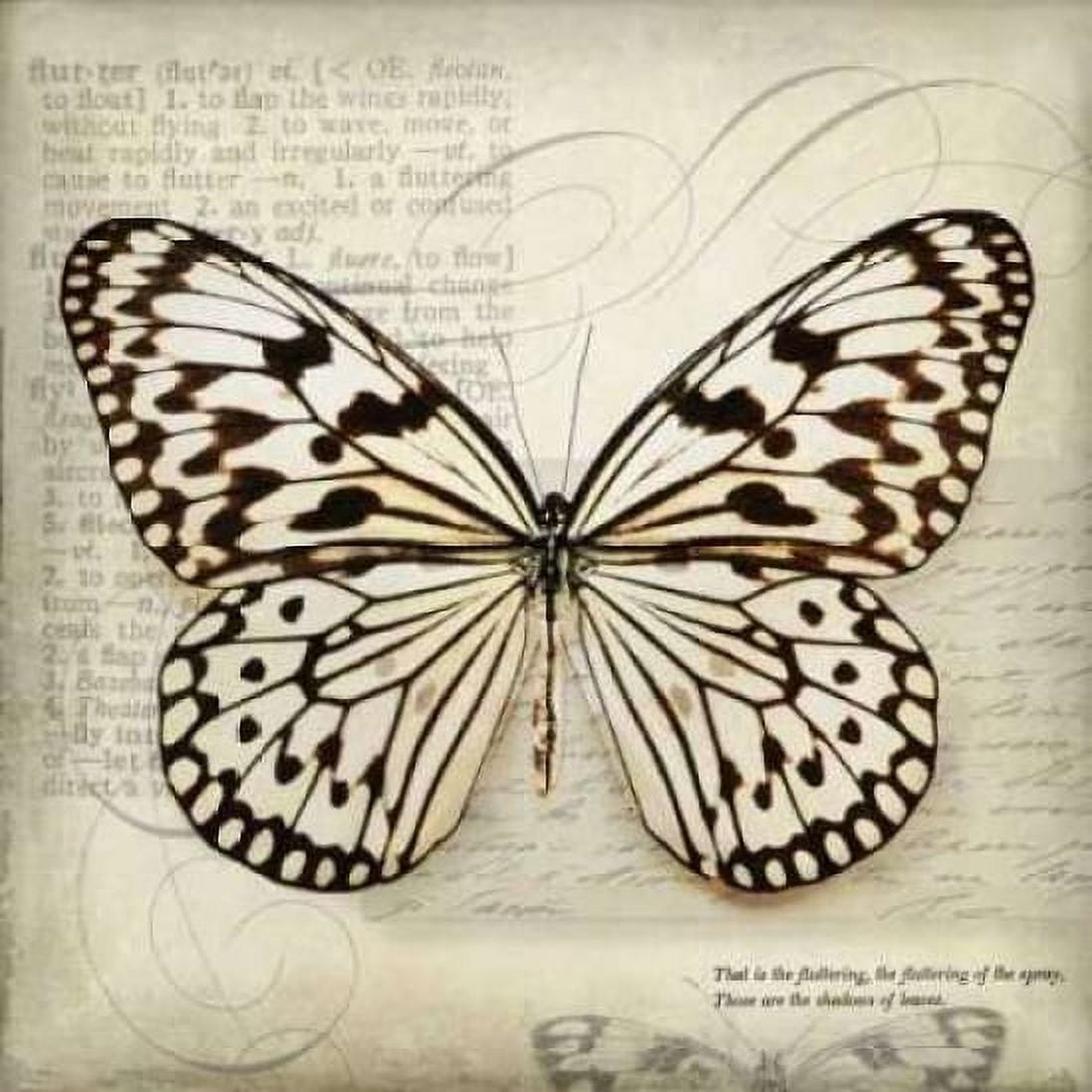 Posterazzi Butterflies Script III Canvas Art - Amy Melious (24 x 24)