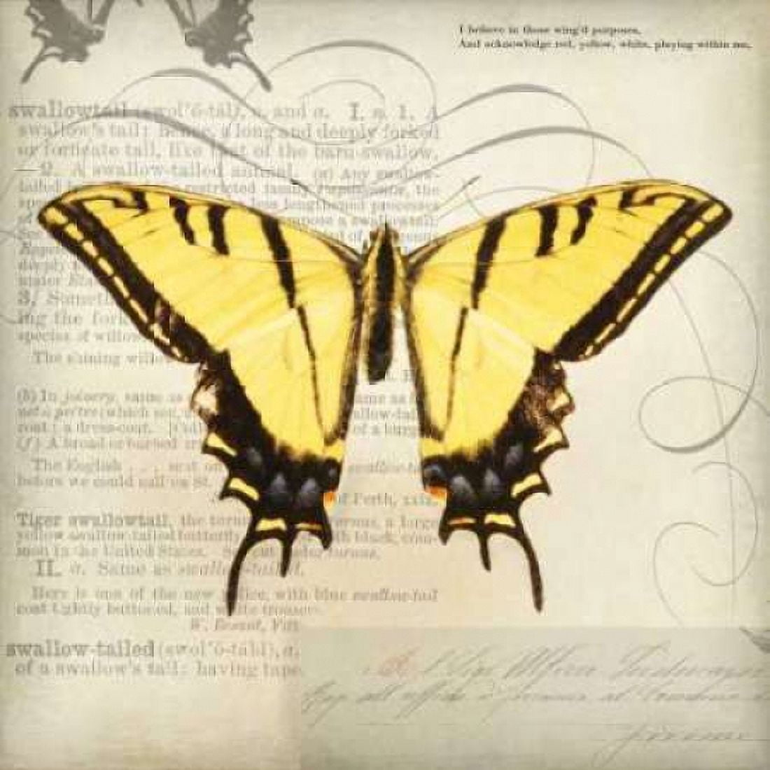 Posterazzi Butterflies Script V Canvas Art - Amy Melious (24 x 24)