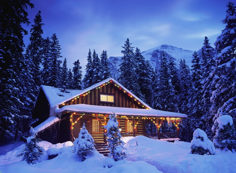 Posterazzi Cabin in the woods illuminated by Christmas lights Canvas Art - Darwin Wiggett Design Pics (32 x 24)
