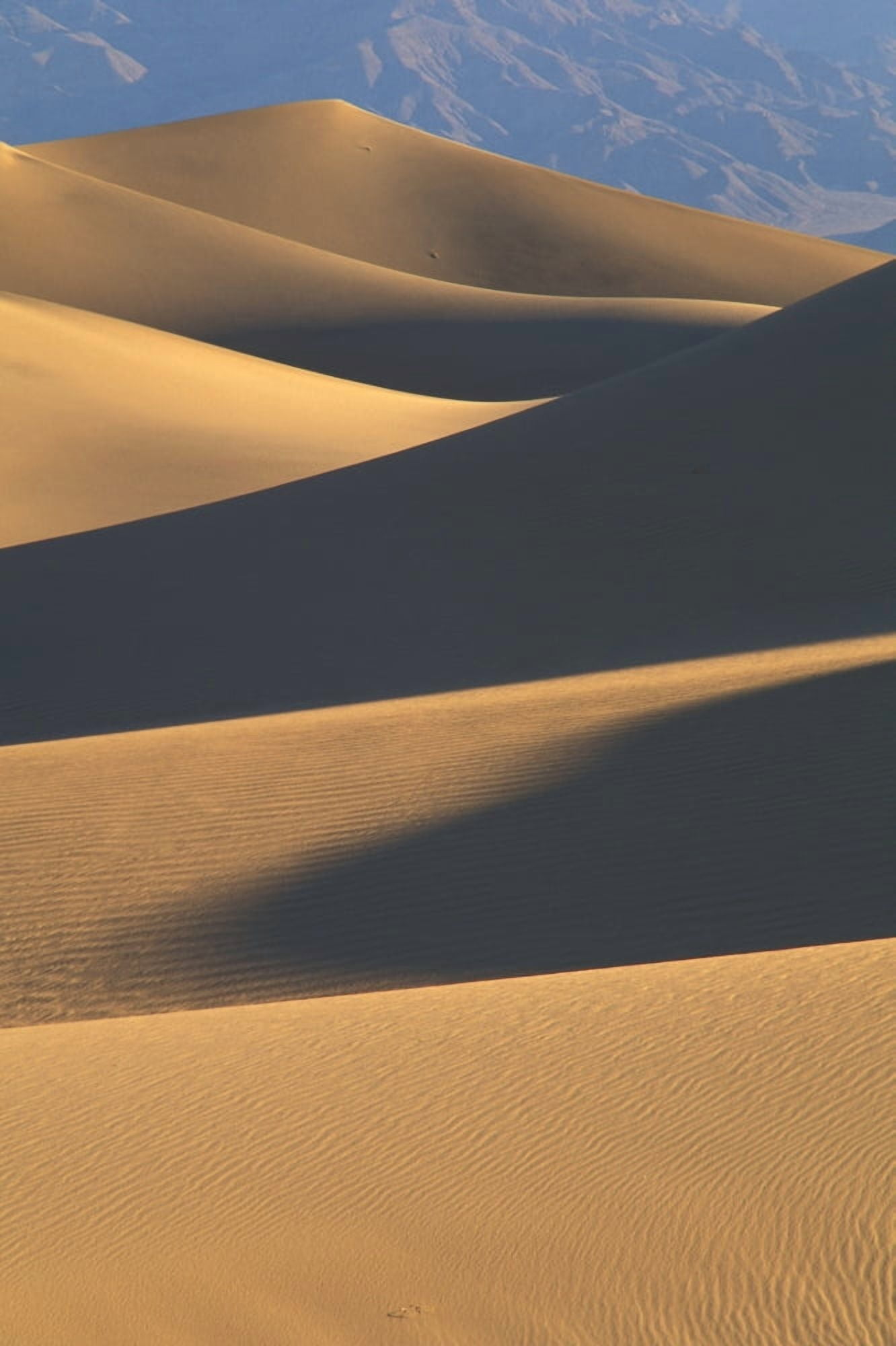 Posterazzi California Death Valley National Forest Mesquite Flat Sand Dunes Canvas Art - Greg Vaughn  Design Pics (22 x 34)