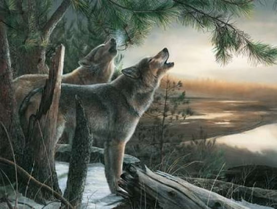 Posterazzi Call of the Wild Canvas Art - Kevin Daniel (18 x 24)