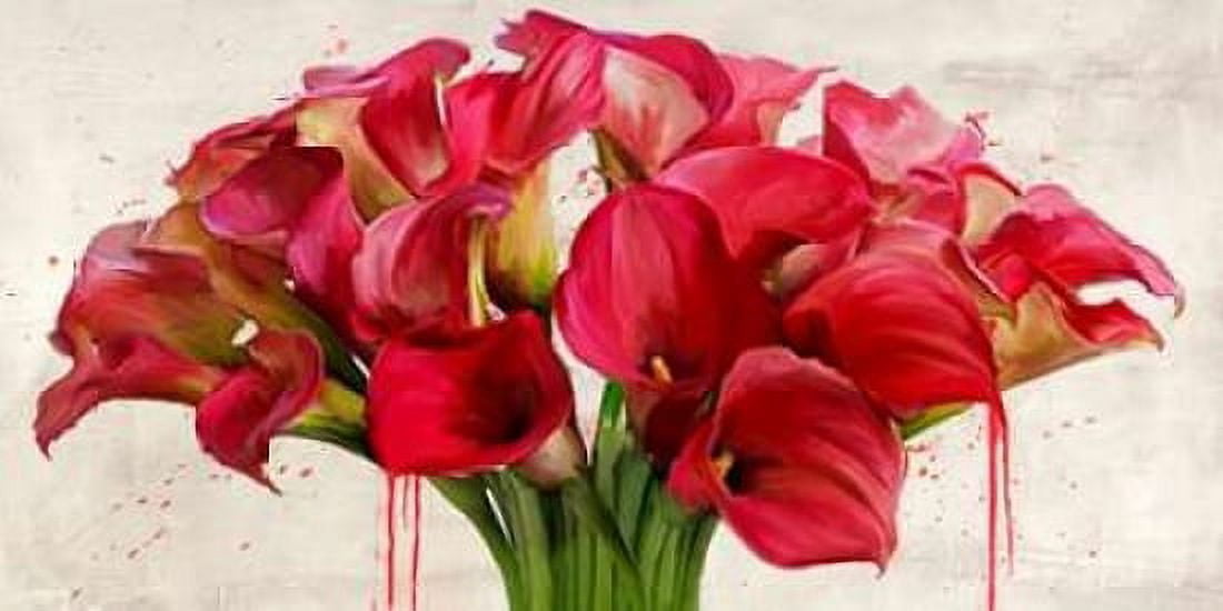 Posterazzi Calla abstraction Canvas Art - Alex Vinci (10 x 20)
