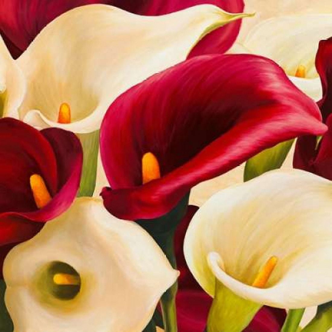 Posterazzi Calla composition Canvas Art - Serena Biffi (24 x 24)