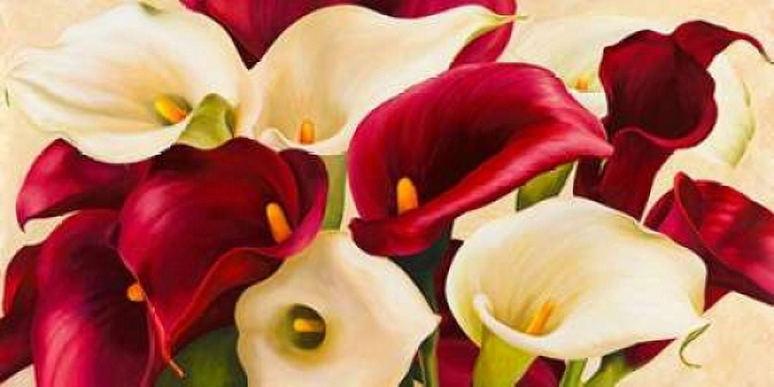 Posterazzi Calla composition Canvas Art - Serena Biffi (24 x 48)