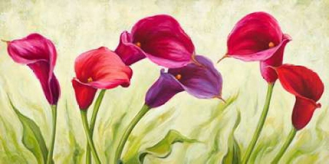 Posterazzi Calle danzanti Canvas Art - Silvia Mei (24 x 48)