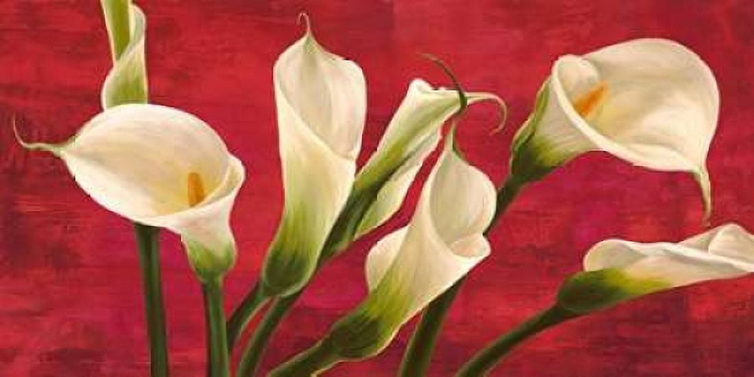 Posterazzi Calle in rosso Canvas Art - Serena Biffi (10 x 20)