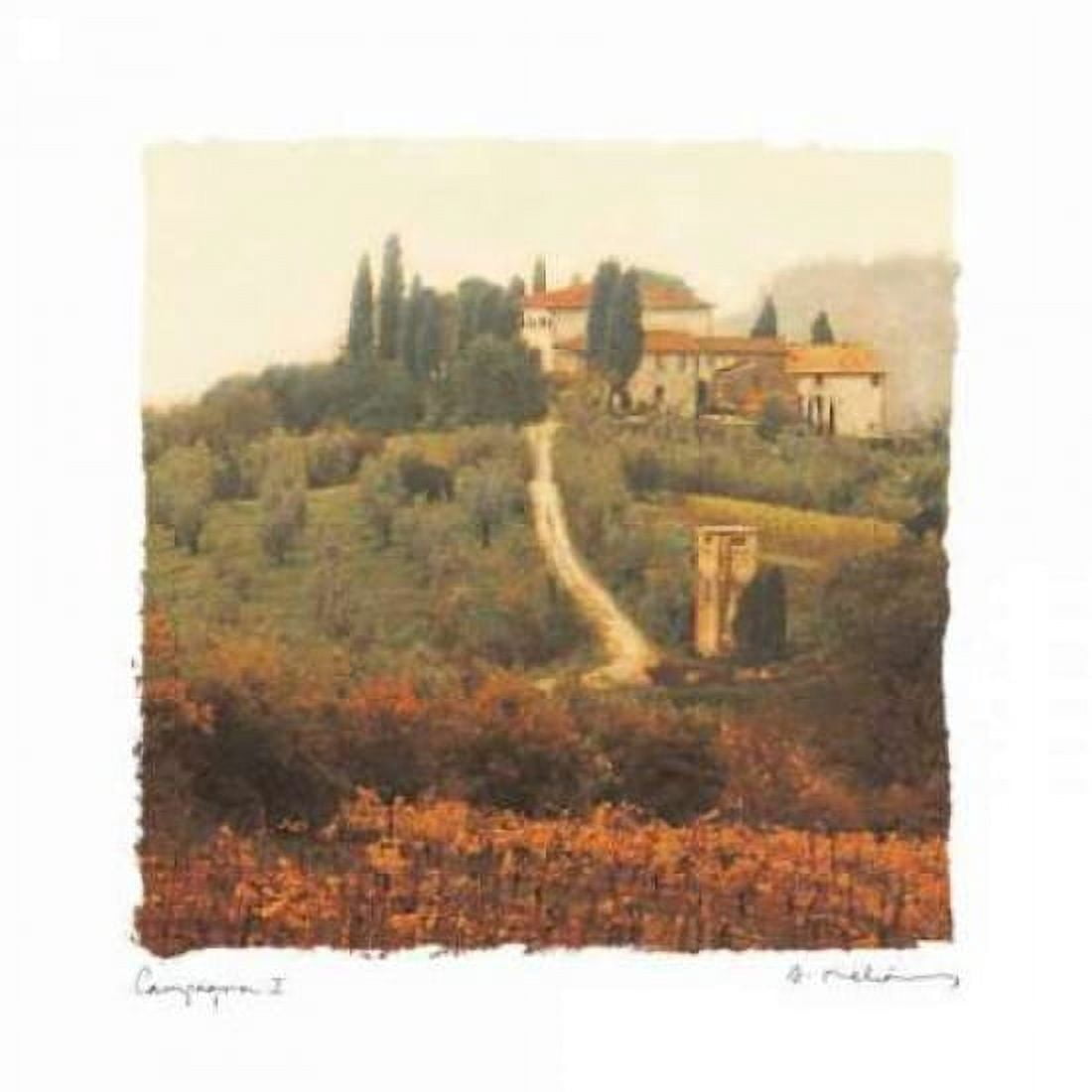 Posterazzi Campagna I Canvas Art - Amy Melious (24 x 24)