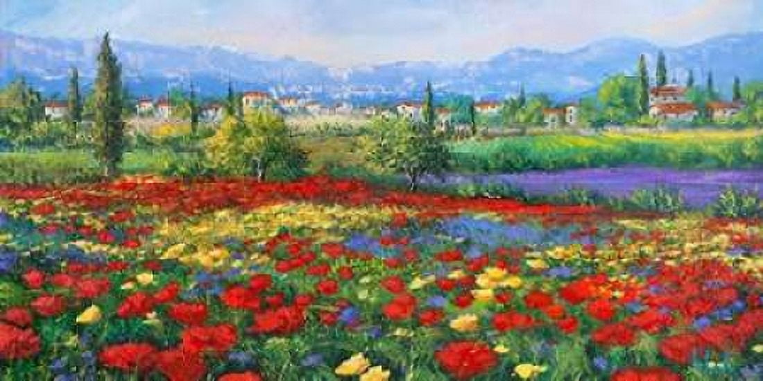 Posterazzi Campagna dolce campagna Canvas Art - Tebo Marzari (24 x 48)