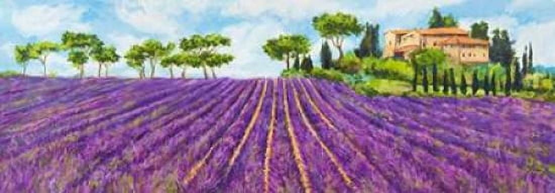 Posterazzi Campagna provenzale Canvas Art - Massimo Germani (24 x 48)