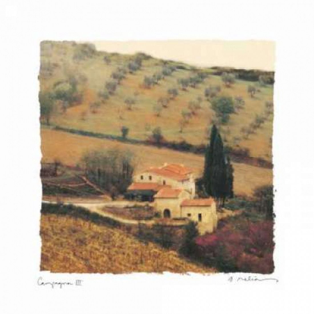 Posterazzi Campanga III Canvas Art - Amy Melious (24 x 24)