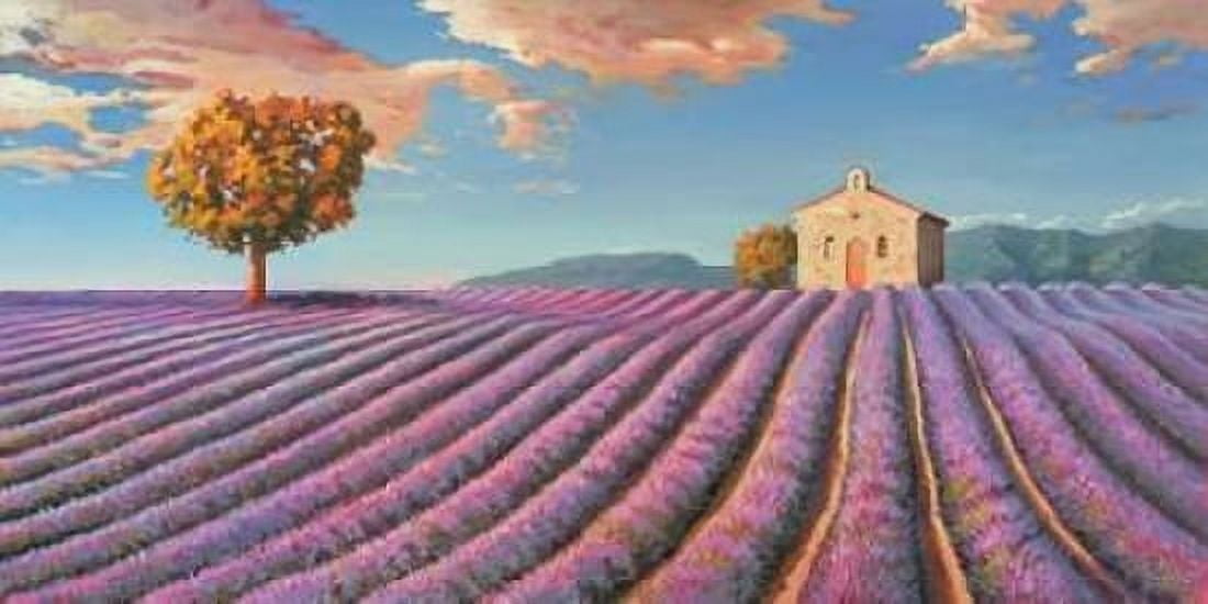 Posterazzi Campi di lavanda Canvas Art - Adriano Galasso (24 x 48)